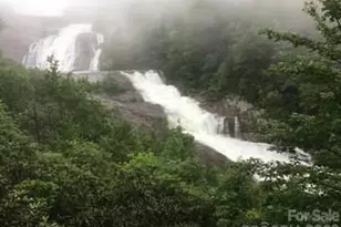 221 Toxaway Fls Dr, Lake Toxaway, NC 28747 - Photo 3