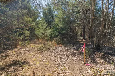 00 Cemetery Road #3, Fort Lawn, SC 29714 - Photo 11