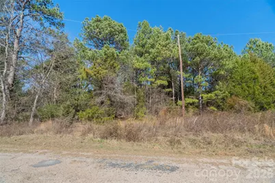 00 Cemetery Road #3, Fort Lawn, SC 29714 - Photo 7
