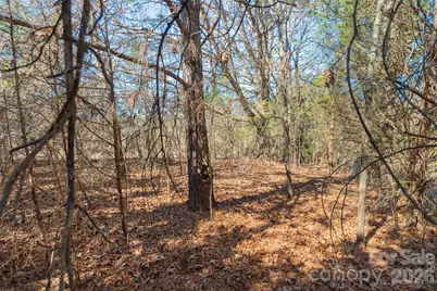 00 Cemetery Road #3, Fort Lawn, SC 29714 - Photo 15