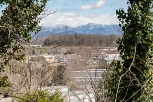 89 Stradley Mountain Rd, Asheville, NC 28806 - Photo 23