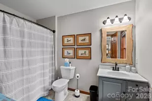 65 Sugar Maple Dr, Mills River, NC 28759 - Photo 33
