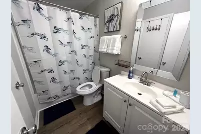 18857 Vineyard Point Lane, Cornelius, NC 28031 - Photo 23