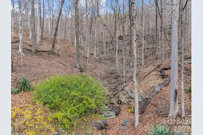 141 Shadow Creek Lane, Columbus, NC 28722 - Photo 45