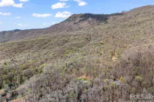 141 Shadow Creek Ln, Columbus, NC 28722 - Photo 47