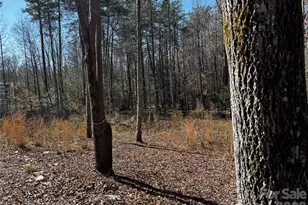 1467 Graycrest Dr, Catawba, NC 28609 - Photo 19