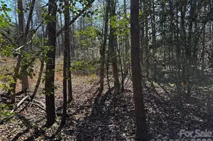 1467 Graycrest Dr, Catawba, NC 28609 - Photo 15