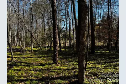 1467 Graycrest Drive, Catawba, NC 28609 - Photo 13