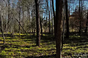 1467 Graycrest Dr, Catawba, NC 28609 - Photo 13