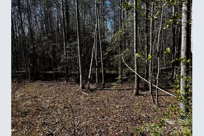 1467 Graycrest Drive, Catawba, NC 28609 - Photo 7