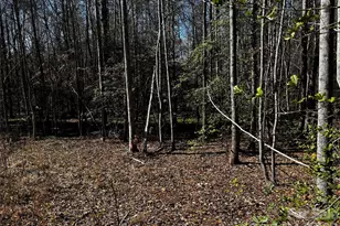 1467 Graycrest Dr, Catawba, NC 28609 - Photo 7