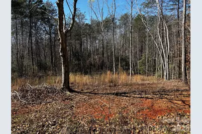 1467 Graycrest Drive, Catawba, NC 28609 - Photo 3