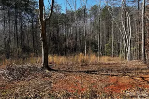 1467 Graycrest Dr, Catawba, NC 28609 - Photo 3