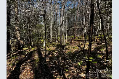 1467 Graycrest Drive, Catawba, NC 28609 - Photo 11