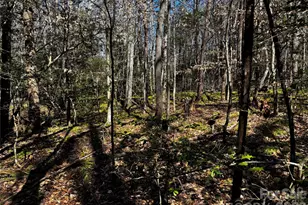 1467 Graycrest Dr, Catawba, NC 28609 - Photo 11