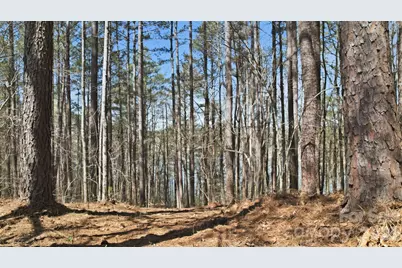 211 Ridge Top Drive #11, Connelly Springs, NC 28612 - Photo 15