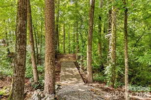 16628 Summers Walk Blvd, Davidson, NC 28036 - Photo 19