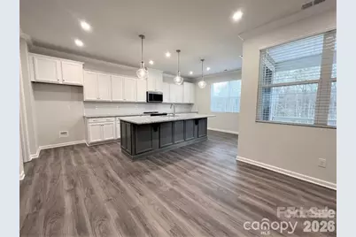 16628 Summers Walk Boulevard, Davidson, NC 28036 - Photo 3