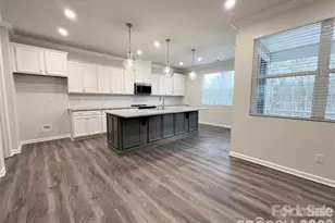 16628 Summers Walk Blvd, Davidson, NC 28036 - Photo 3