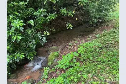 0 Mountain Forest Estates Road, Sylva, NC 28779 - Photo 23