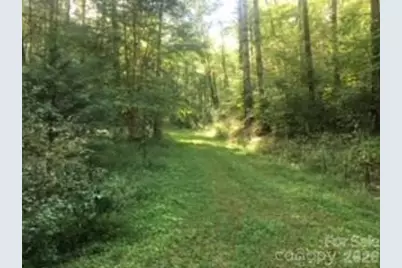 0 Mountain Forest Estates Road, Sylva, NC 28779 - Photo 13