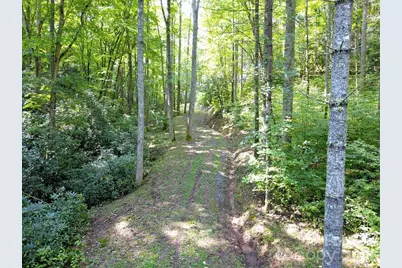 0 Mountain Forest Estates Road, Sylva, NC 28779 - Photo 15