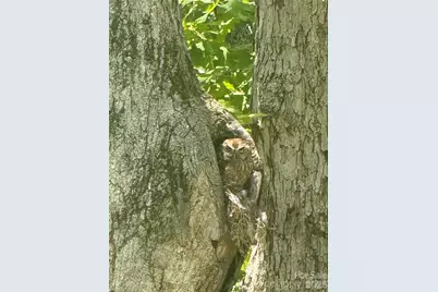 46 Carden Drive #10, Weaverville, NC 28787 - Photo 43