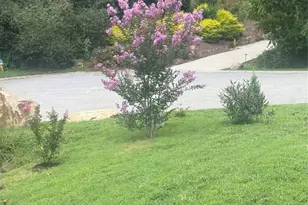 46 Carden Dr, Weaverville, NC 28787 - Photo 43