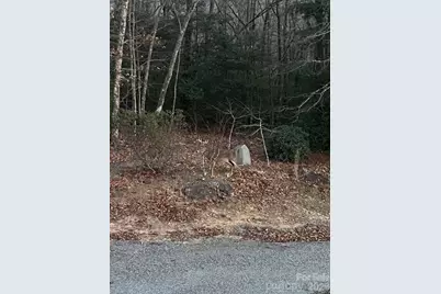 770 Dream Weaver Drive, Penrose, NC 28766 - Photo 37