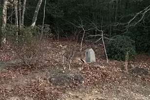 770 Dream Weaver Dr, Penrose, NC 28766 - Photo 37