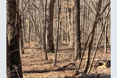 659 Bent Creek Drive #35, Nebo, NC 28761 - Photo 5