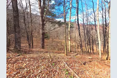 250 Rome Beauty Road #TR5, Waynesville, NC 28785 - Photo 5