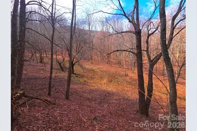 250 Rome Beauty Road #TR5, Waynesville, NC 28785 - Photo 15