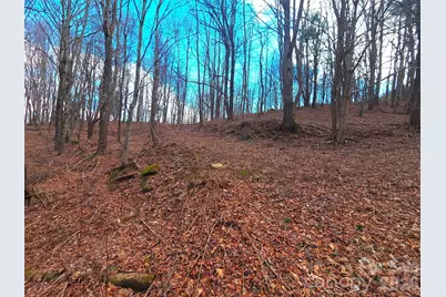 250 Rome Beauty Road #TR5, Waynesville, NC 28785 - Photo 21