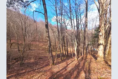 250 Rome Beauty Road #TR5, Waynesville, NC 28785 - Photo 13