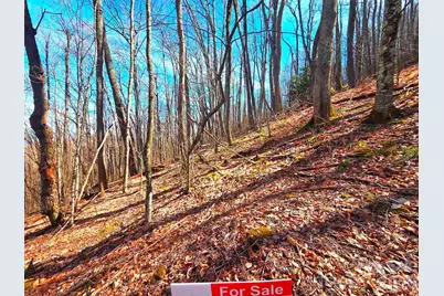 250 Rome Beauty Road #TR5, Waynesville, NC 28785 - Photo 29