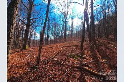 250 Rome Beauty Road #TR5, Waynesville, NC 28785 - Photo 17