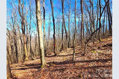 250 Rome Beauty Road #TR5, Waynesville, NC 28785 - Photo 31