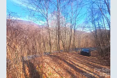 1200 Chestnut Flats Lane #138, Waynesville, NC 28786 - Photo 7