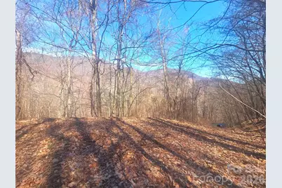 1200 Chestnut Flats Lane #138, Waynesville, NC 28786 - Photo 5