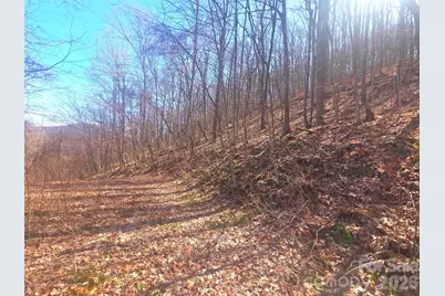 1200 Chestnut Flats Lane #138, Waynesville, NC 28786 - Photo 13