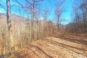 1200 Chestnut Flats Ln, Waynesville, NC 28786 - Photo 1