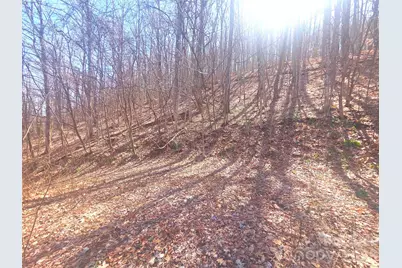 1200 Chestnut Flats Lane #138, Waynesville, NC 28786 - Photo 11