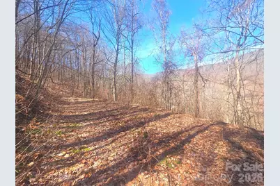 1200 Chestnut Flats Lane #138, Waynesville, NC 28786 - Photo 21