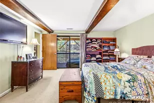 14 Cedarwood Dr, Asheville, NC 28803 - Photo 23