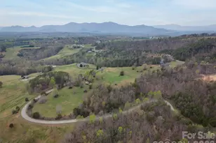 345 Preservation Trail, Columbus, NC 28722 - Photo 47