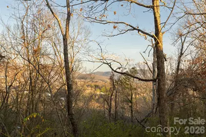 9999 Weaver Hill Road, Asheville, NC 28805 - Photo 5