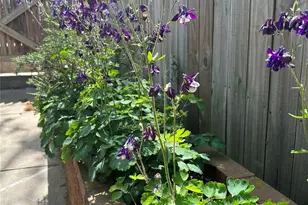 502 Mitchell Ave, Salisbury, NC 28144 - Photo 29