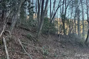 70 Earls Rd, Bryson City, NC 28713 - Photo 11