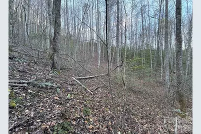 70 Earls Road, Bryson City, NC 28713 - Photo 17